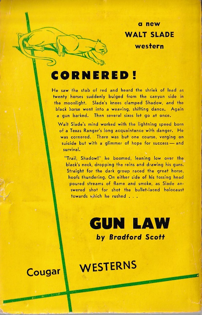 Bradford Scott  GUN LAW magnified rear book cover image