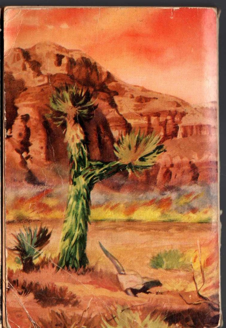 Zane Grey  WILDFIRE magnified rear book cover image