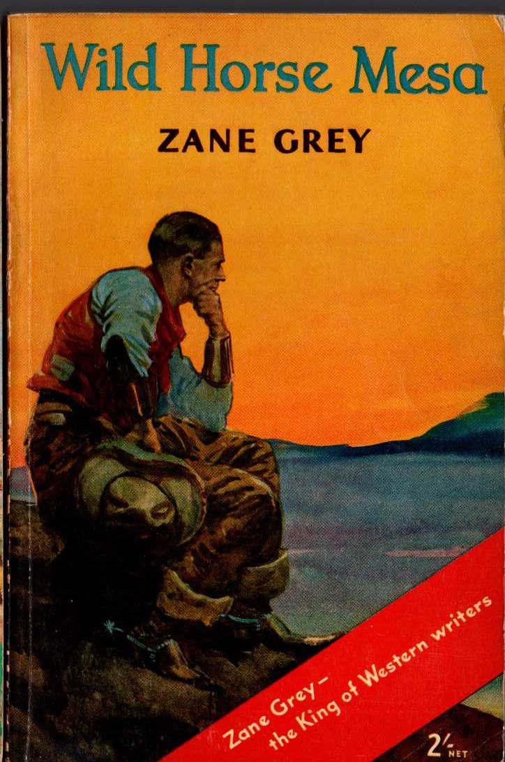 Zane Grey  WILD HORSE MESA front book cover image