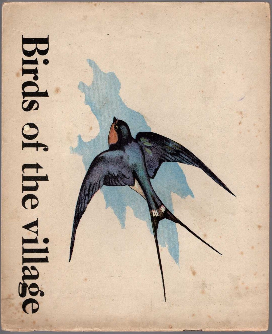 BIRDS OF THE VILLAGE magnified rear book cover image