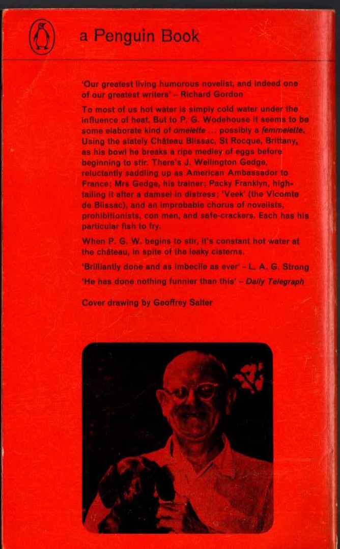 P.G. Wodehouse  HOT WATER magnified rear book cover image