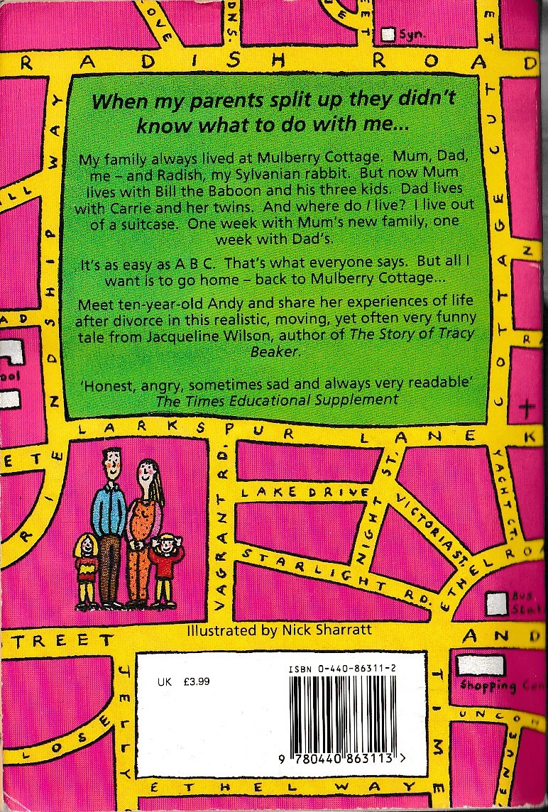 Jacqueline Wilson  THE SUITCASE KID magnified rear book cover image