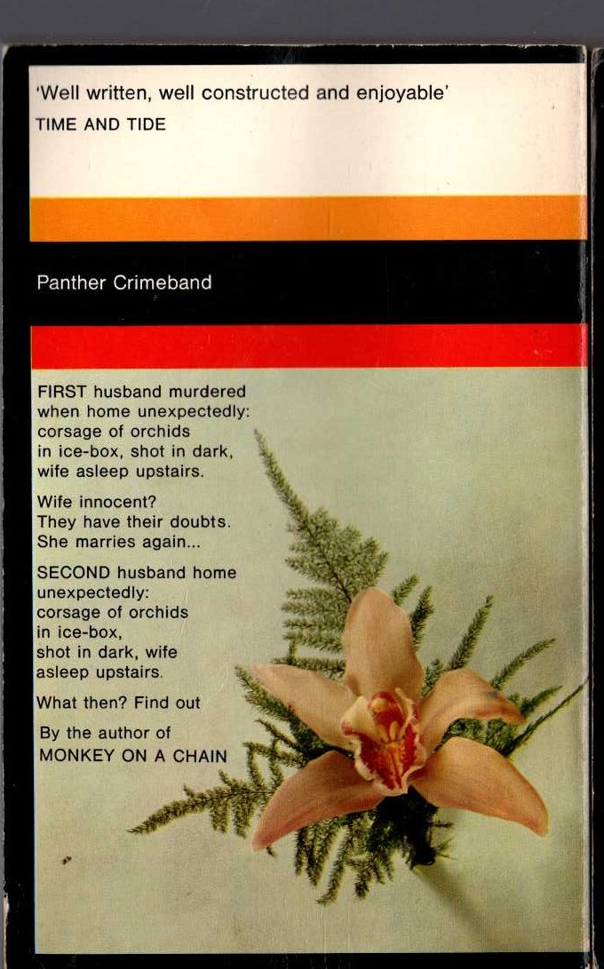Edwin Lanham  DOUBLE JEOPARDY magnified rear book cover image