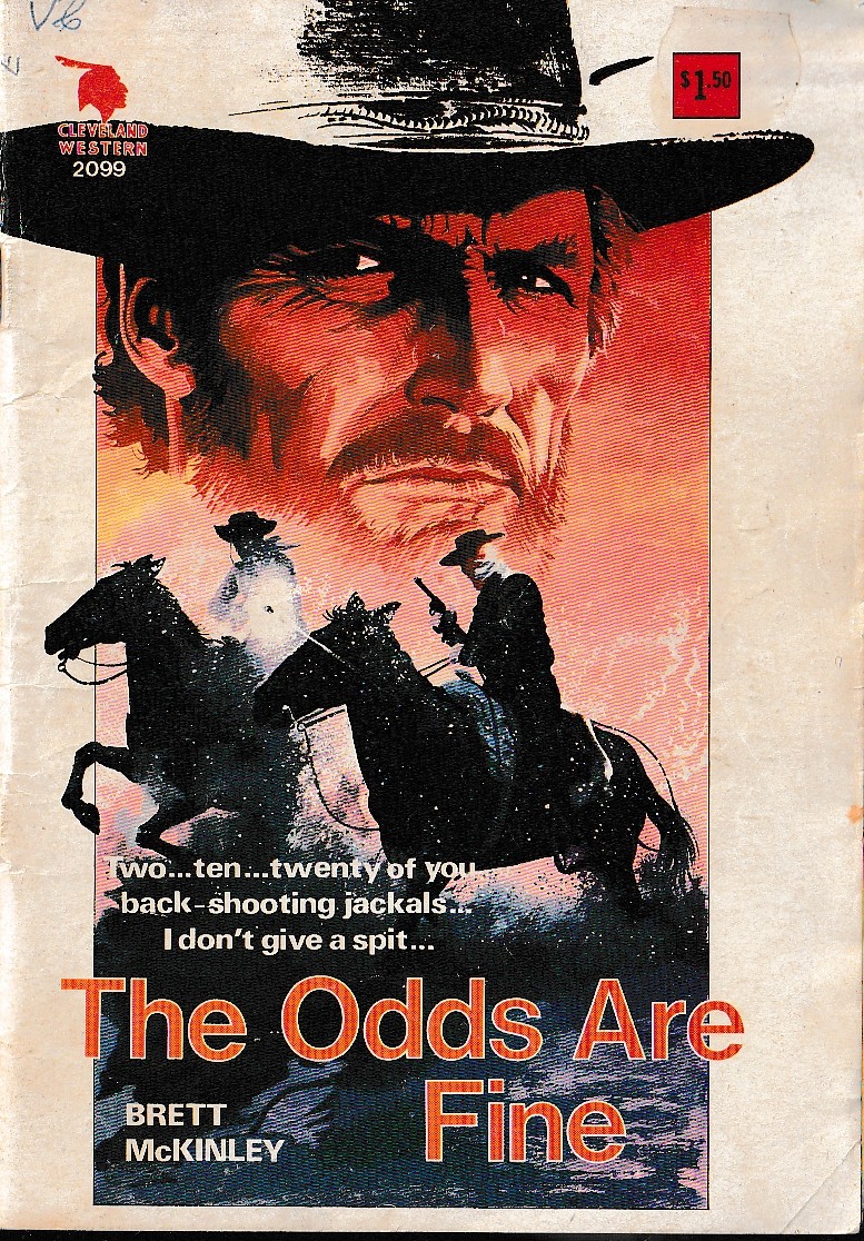 Brett McKinley  THE ODDS ARE FINE front book cover image