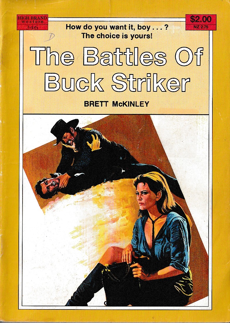 Brett McKinley  THE BATTLES OF BUCK STRIKER front book cover image