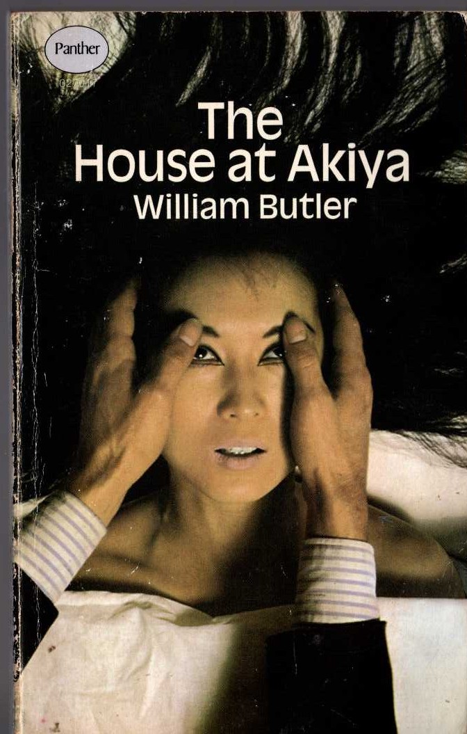 William Butler  THE HOUSE AT AKIYA front book cover image