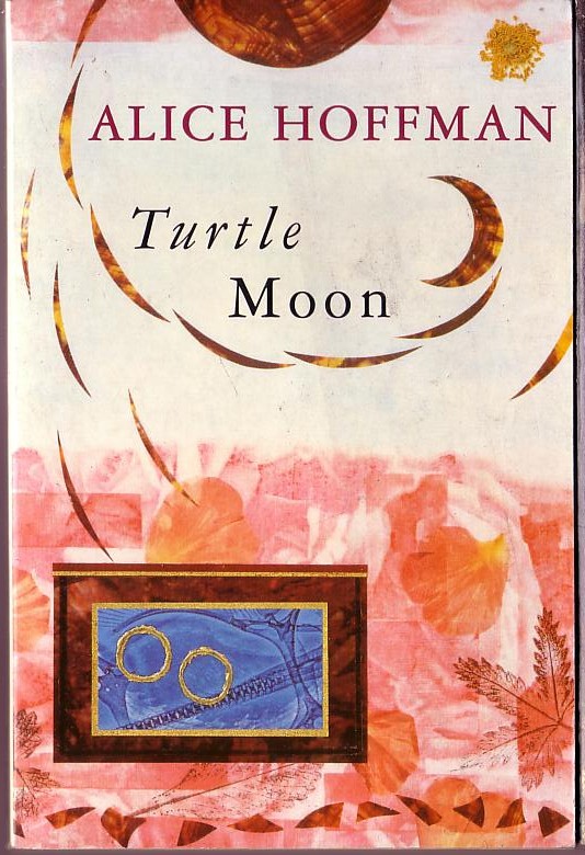 Alice Hoffman  TURTLE MOON front book cover image