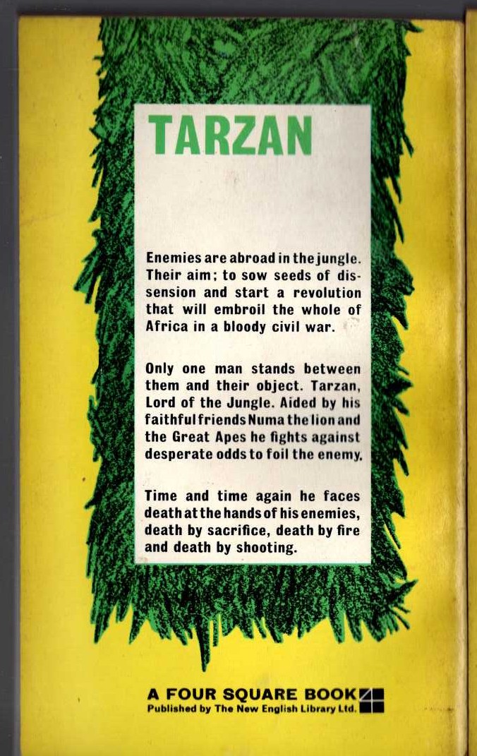 Edgar Rice Burroughs  TARZAN THE INVINCIBLE magnified rear book cover image