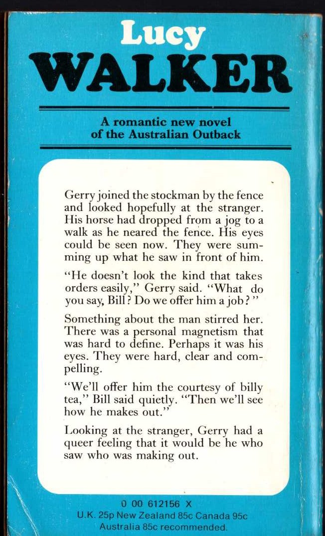 Lucy Walker  THE STRANGER FROM THE NORTH magnified rear book cover image