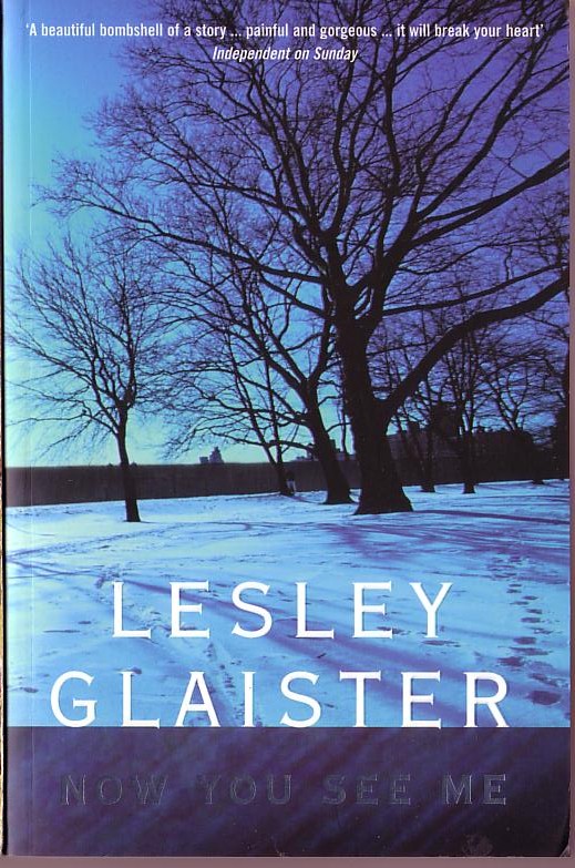 Lesley Glaister  NOW YOU SEE ME front book cover image