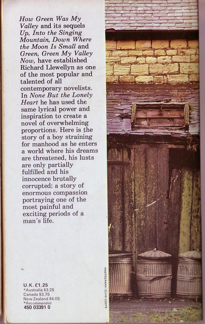 Richard Llewellyn  NONE BUT THE LONELY HEART magnified rear book cover image