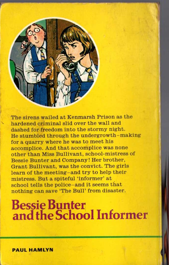 Hilda Richards  BESSIE BUNTER AND THE SCHOOL INFORMER magnified rear book cover image