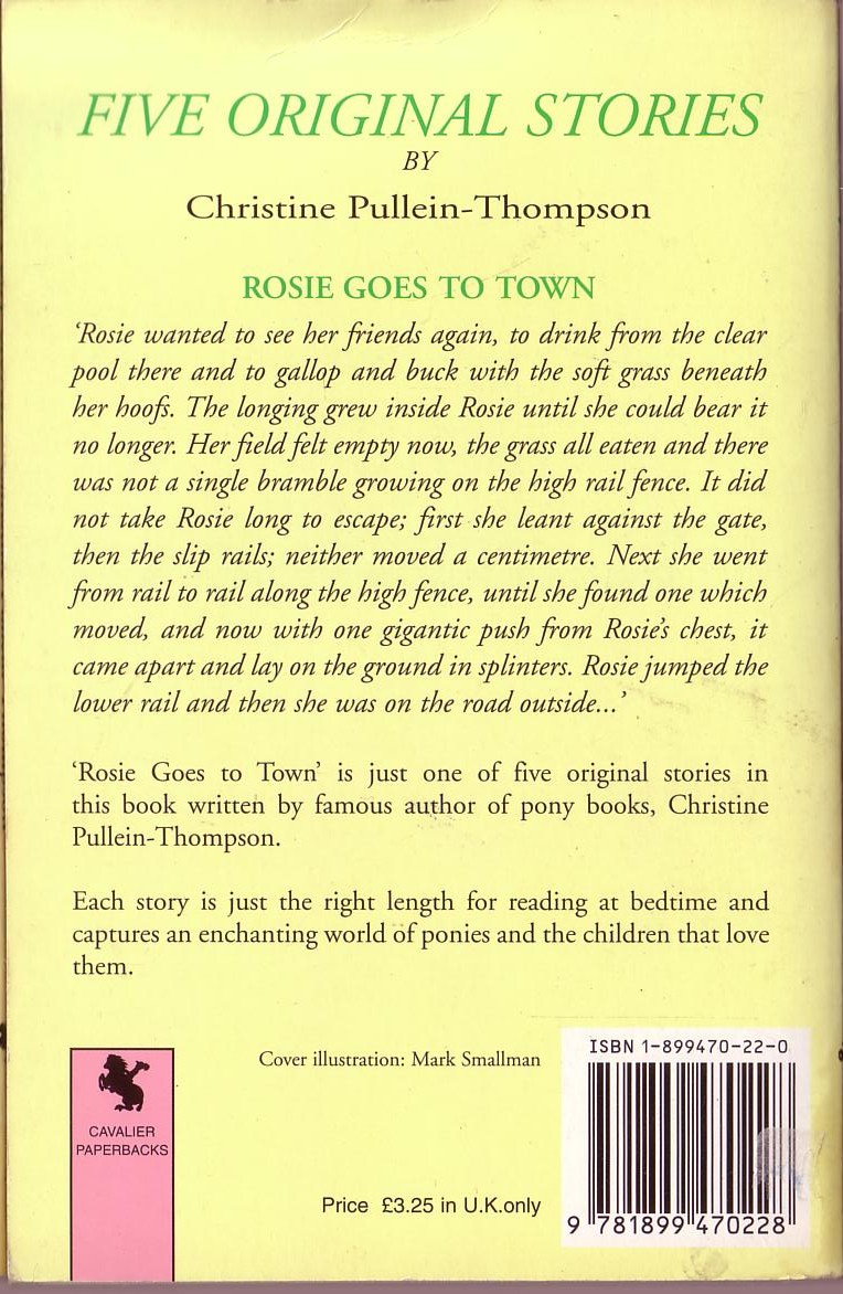Kirk Hamilton  1,000 GUNS magnified rear book cover image