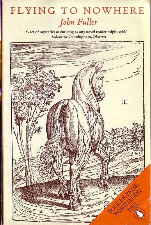 John Fuller  FLYING TO NOWHERE front book cover image