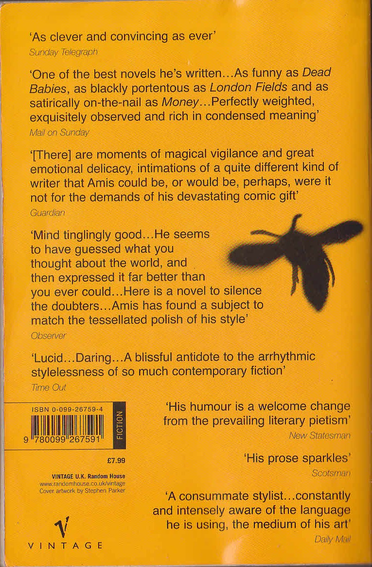 Martin Amis  YELLOW DOG magnified rear book cover image