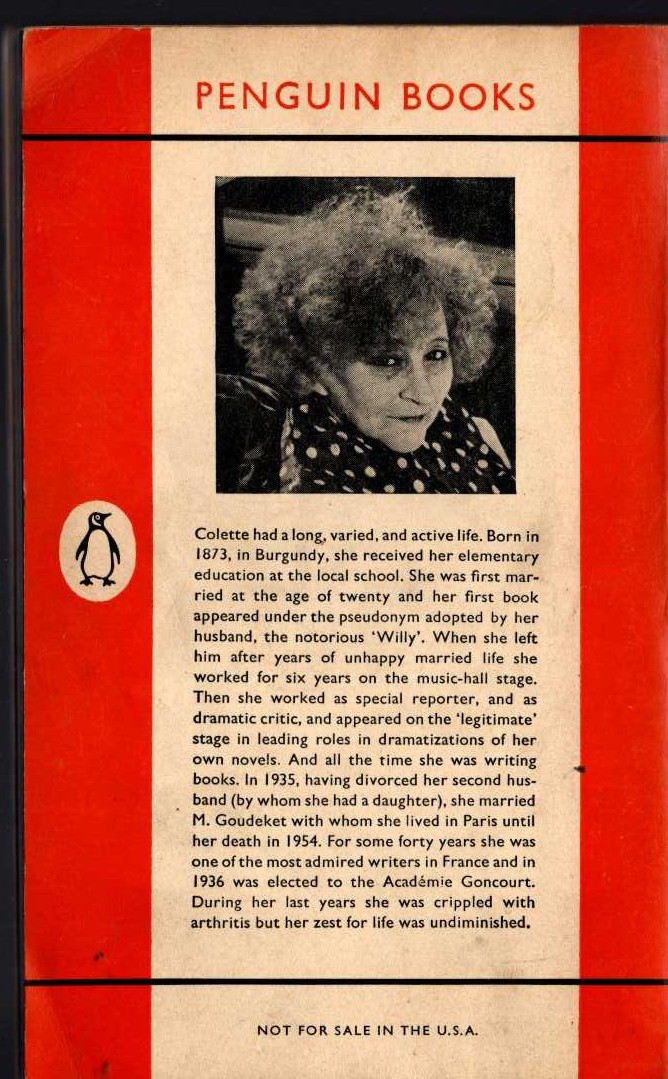 Lewis Carroll  PILLOW PROBLEMS and A TANGLED TALE magnified rear book cover image