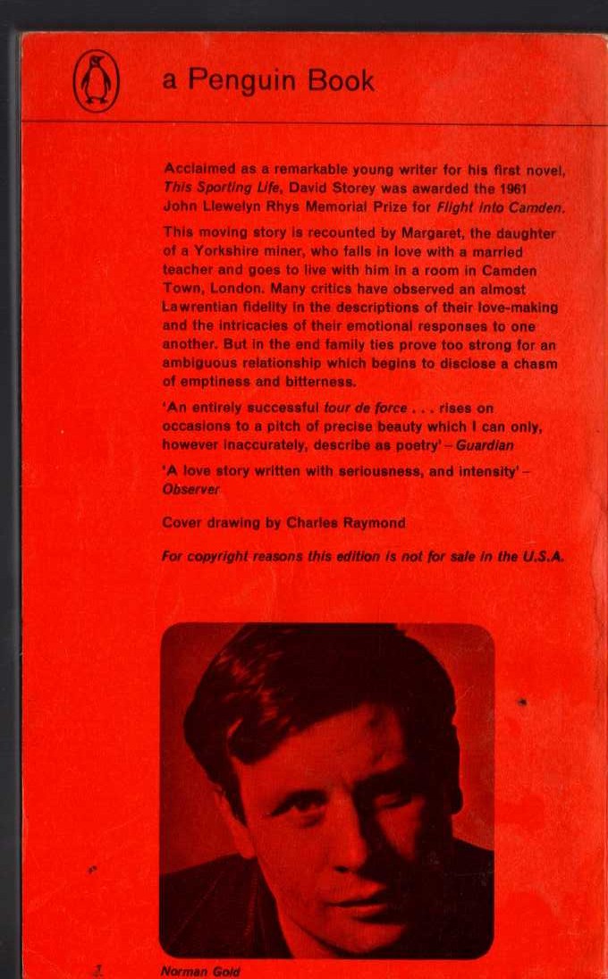David Storey  FLIGHT INTO CAMDEN magnified rear book cover image