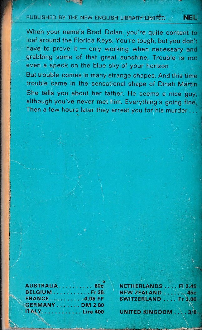 William Fuller  THE GIRL IN THE FRAME magnified rear book cover image