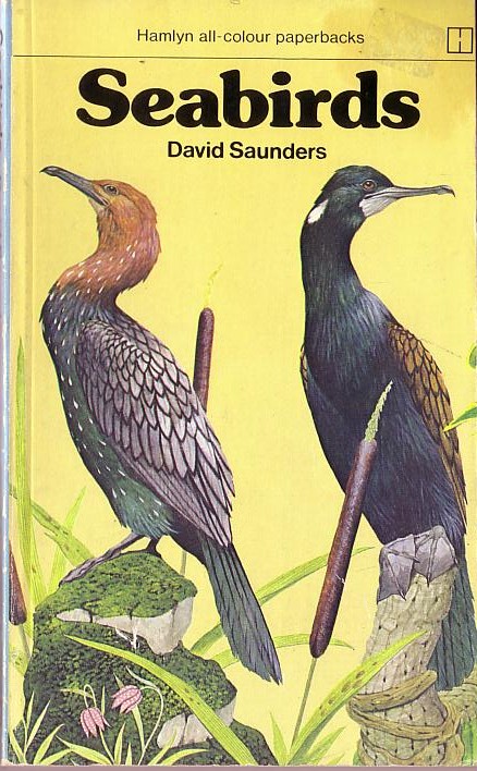 David Saunders  SEABIRDS front book cover image