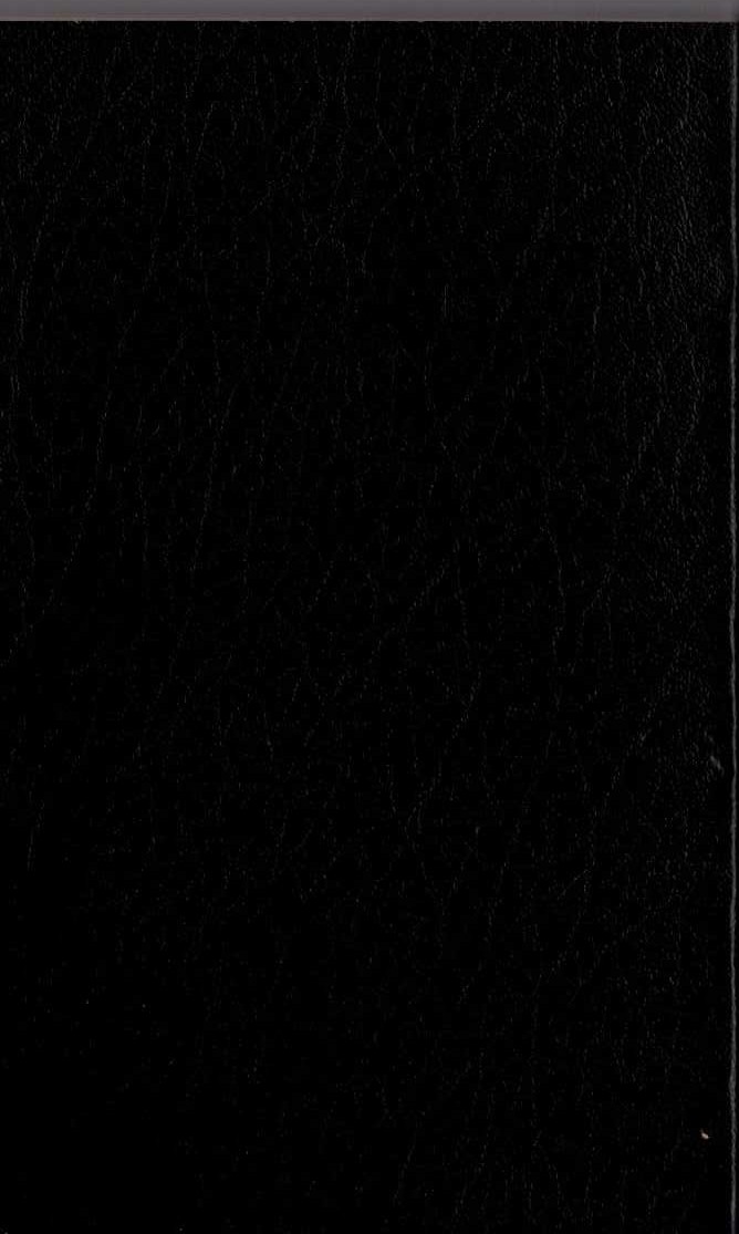 John Wainwright  THE BASTARD magnified rear book cover image