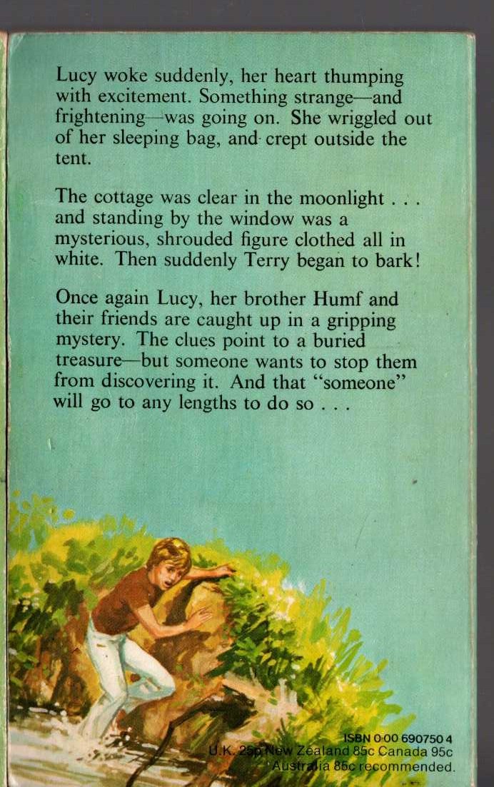 Malcolm Saville  THE ROMAN TREASURE MYSTERY magnified rear book cover image