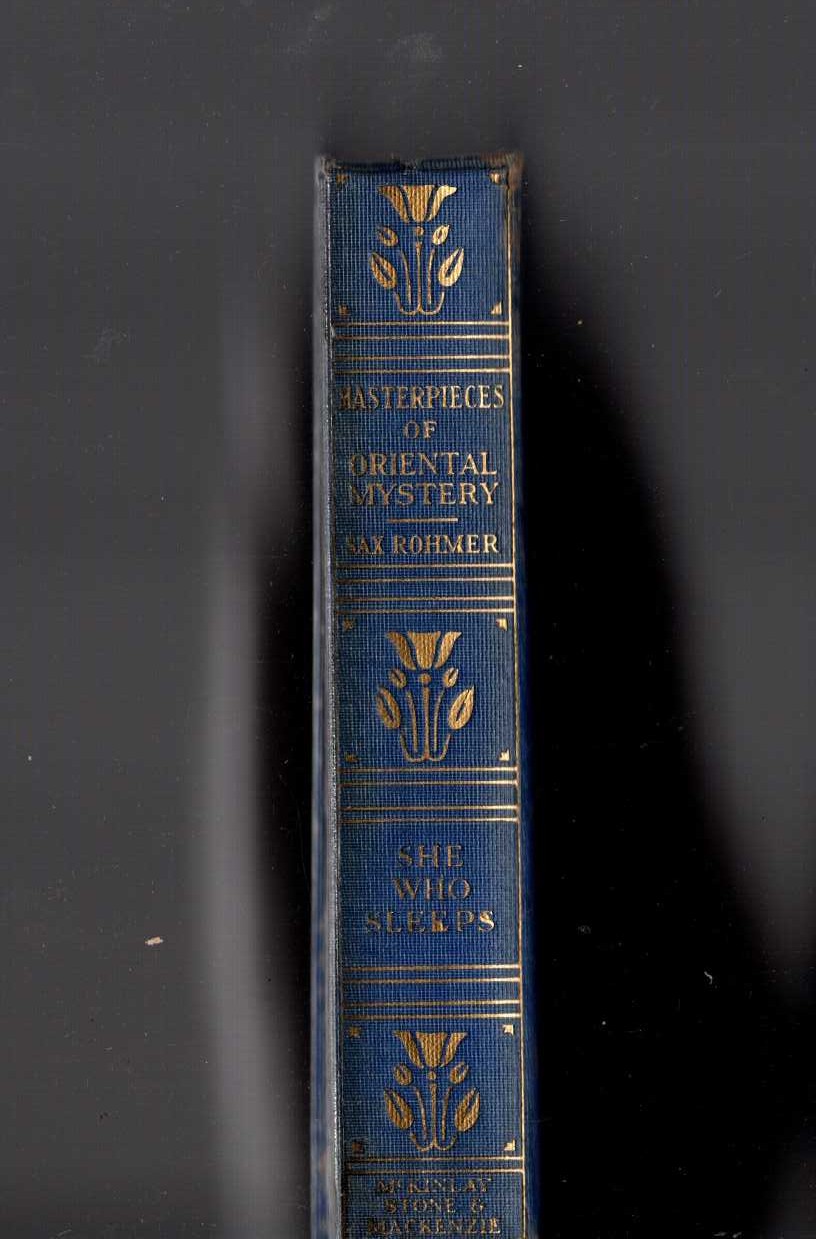 SHE WHO SLEEPS front book cover image