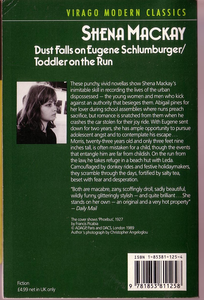 Shena Mackay  DUST FALLS ON EUGENE SCHLUMBURGER/ TODDLER ON THE RUN magnified rear book cover image