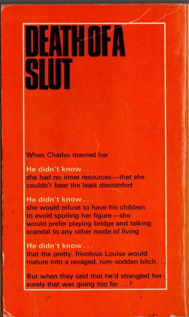 Andrew Garve  DEATH AND THE SKY ABOVE magnified rear book cover image