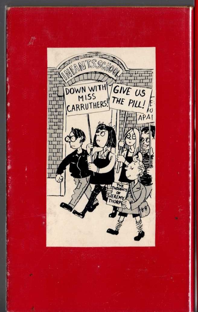 TEMPORARY DIVERSIONS magnified rear book cover image