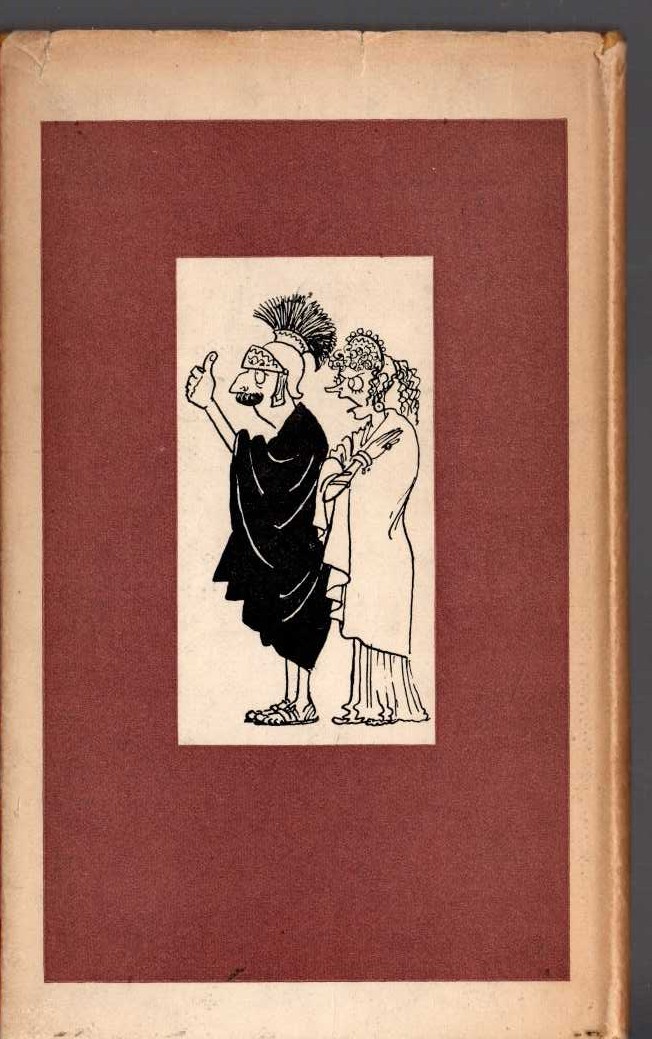 THE YEAR OF THE COMET magnified rear book cover image