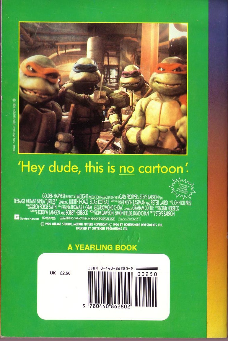 B.B. Hiller  TEENAGE MUTANT NINJA TURTLES magnified rear book cover image