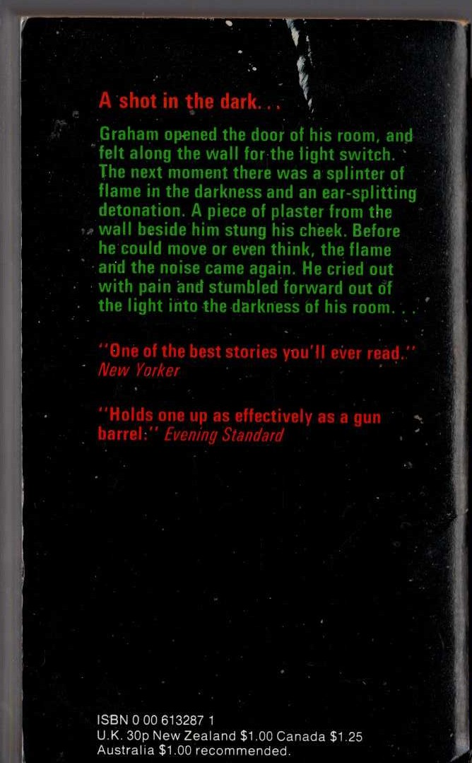 THE MISSING AUNT magnified rear book cover image