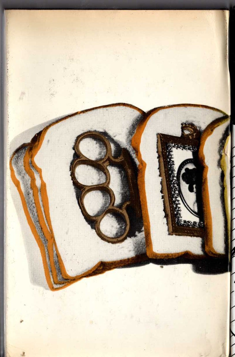 THE MINIATURES FRAME magnified rear book cover image