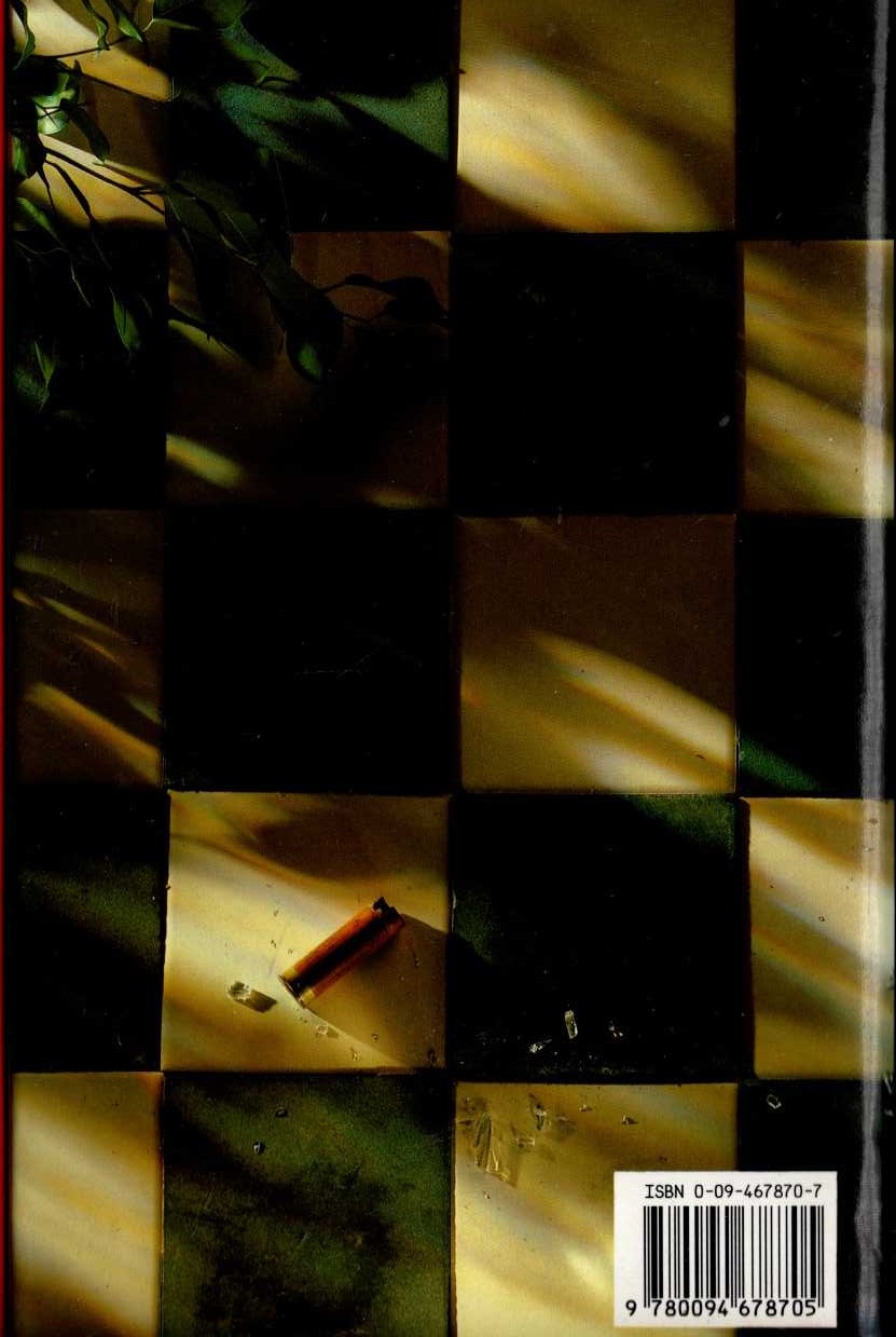 WHO SAW HIM DIE? magnified rear book cover image
