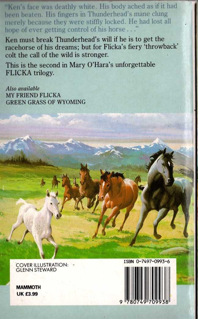 Mary O'Hara  THUNDERHEAD magnified rear book cover image