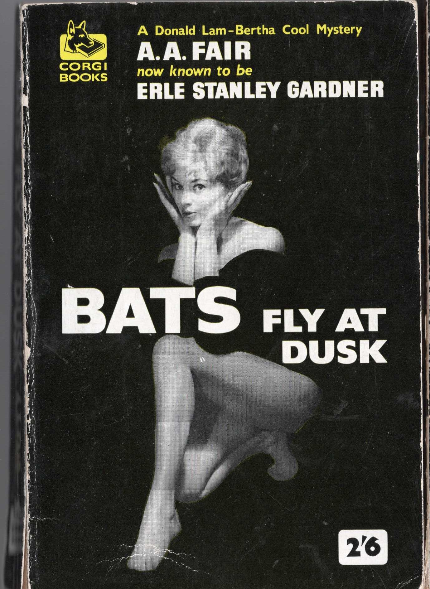 A.A. Fair  BATS FLY AT DUSK front book cover image