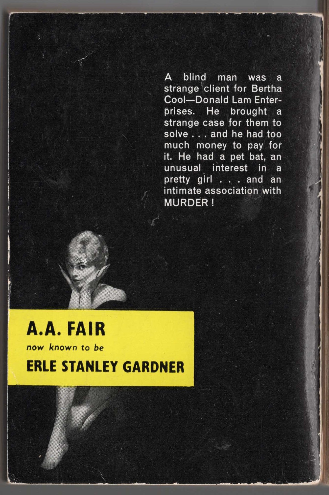 A.A. Fair  BATS FLY AT DUSK magnified rear book cover image