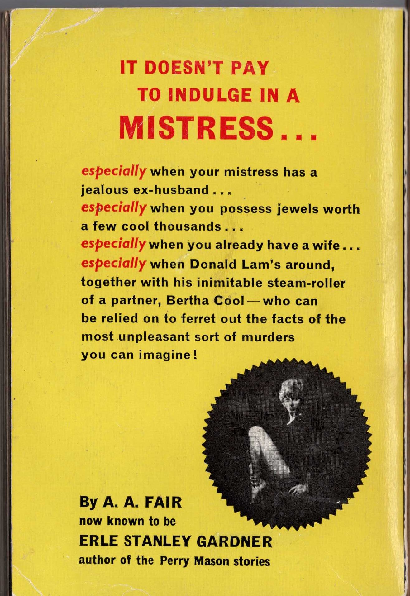 A.A. Fair  DOUBLE OR QUITS magnified rear book cover image