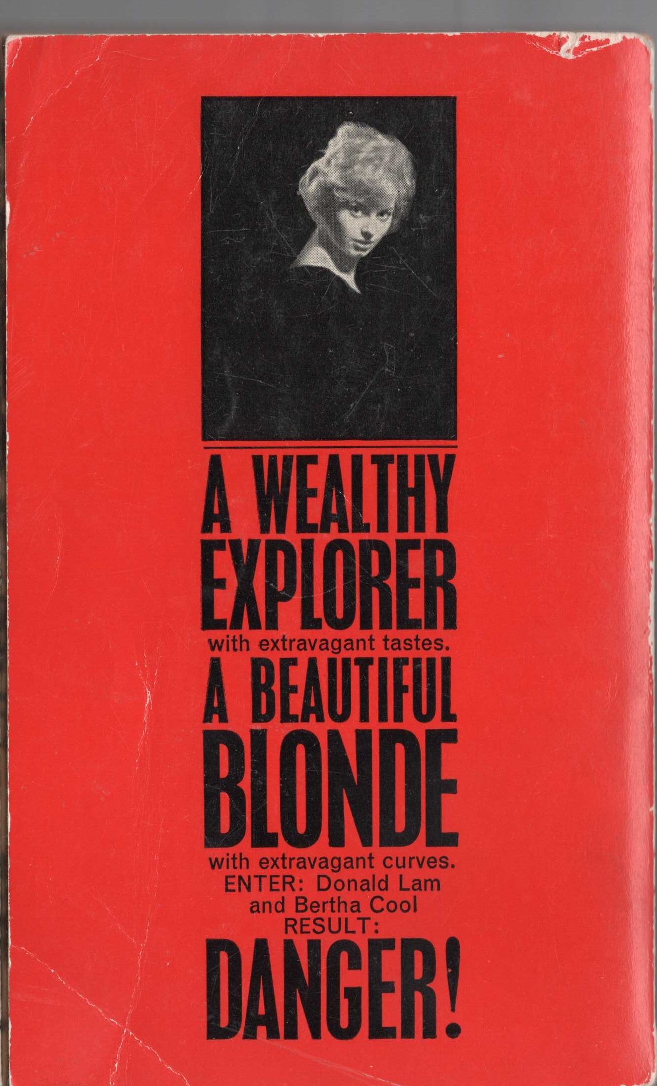 A.A. Fair  THE COUNT OF NINE magnified rear book cover image