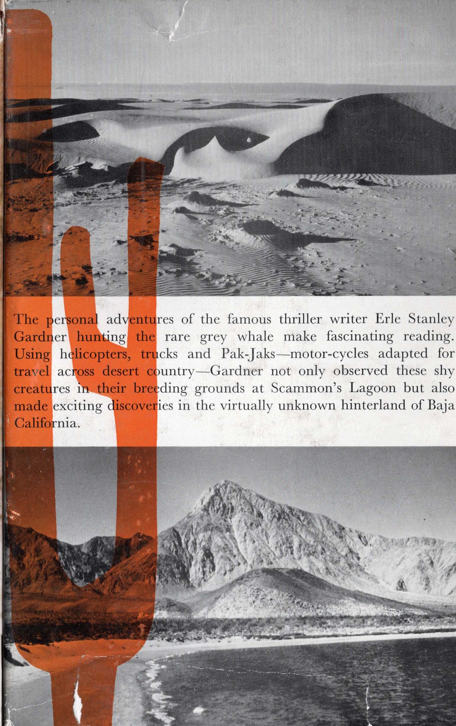 HUNTING THE DESERT WHALE (non-fiction) magnified rear book cover image