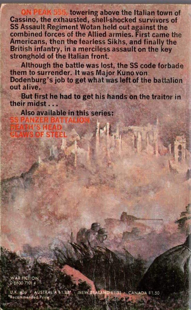 Leo Kessler  GUNS AT CASSINO magnified rear book cover image