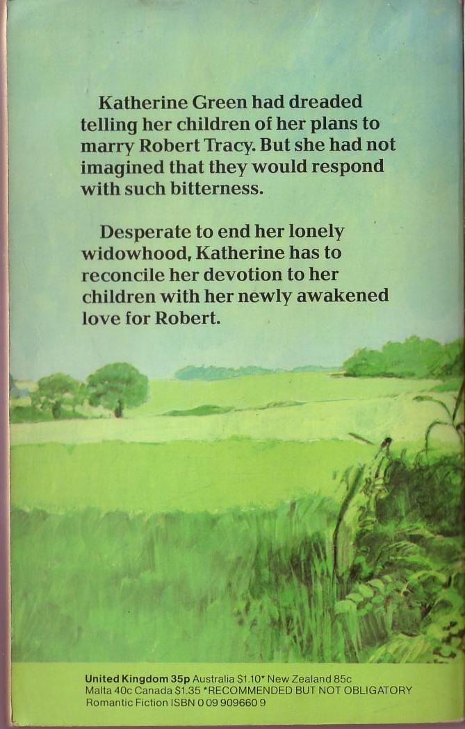 Denise Robins  SECOND MARRIAGE magnified rear book cover image