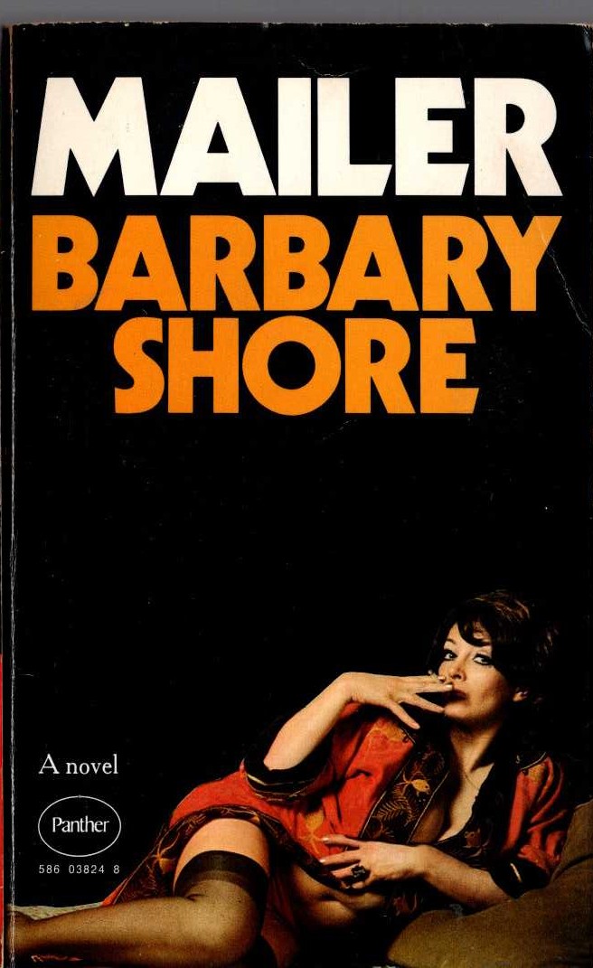 Norman Mailer  BARBARY SHORE front book cover image