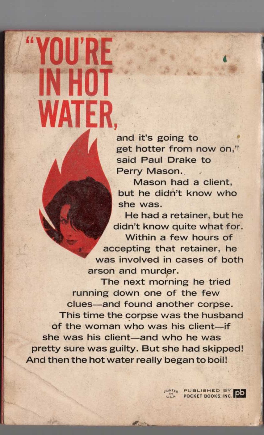 Erle Stanley Gardner  THE CASE OF THE ONE-EYED WITNESS magnified rear book cover image
