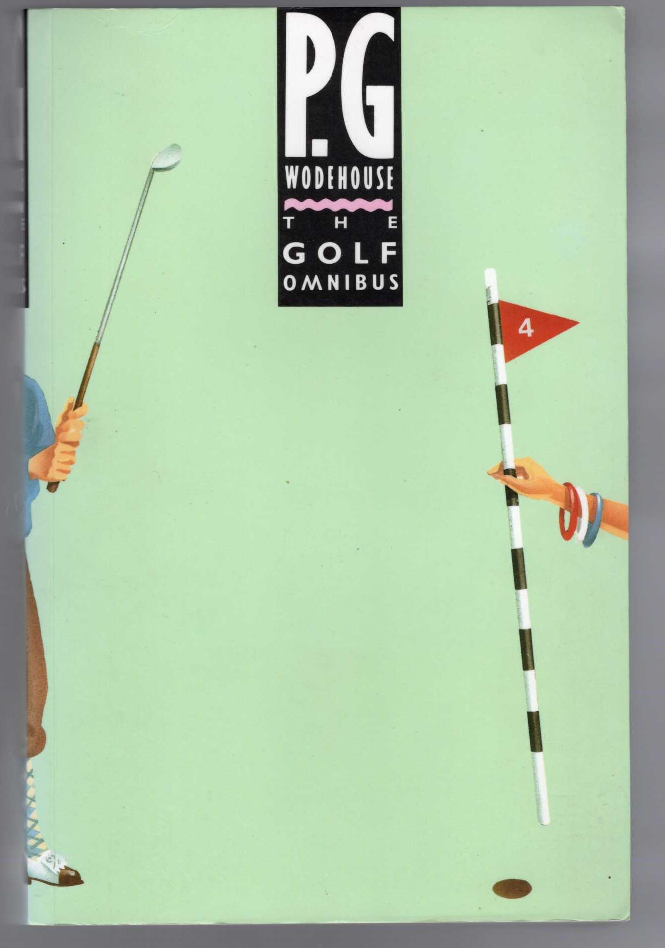Leonore Fleischer  FAME front book cover image