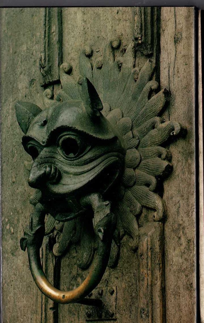 COUNTY DURHAM (Buildings of England) magnified rear book cover image