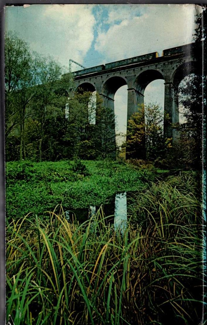 HERTFORDSHIRE magnified rear book cover image