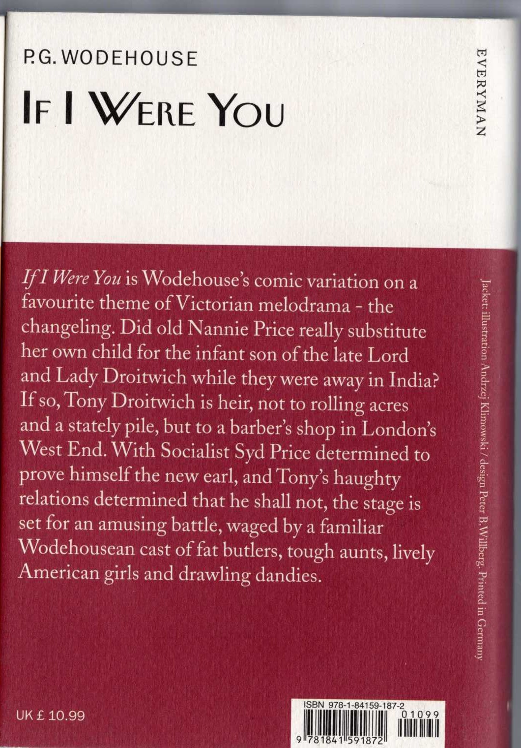 IF I WERE YOU magnified rear book cover image