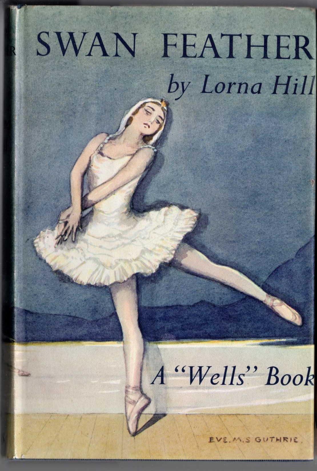 SWAN FEATHER front book cover image