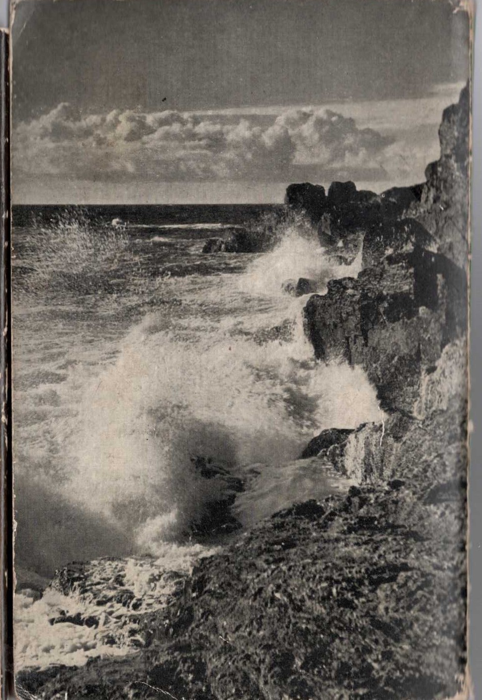  magnified rear book cover image